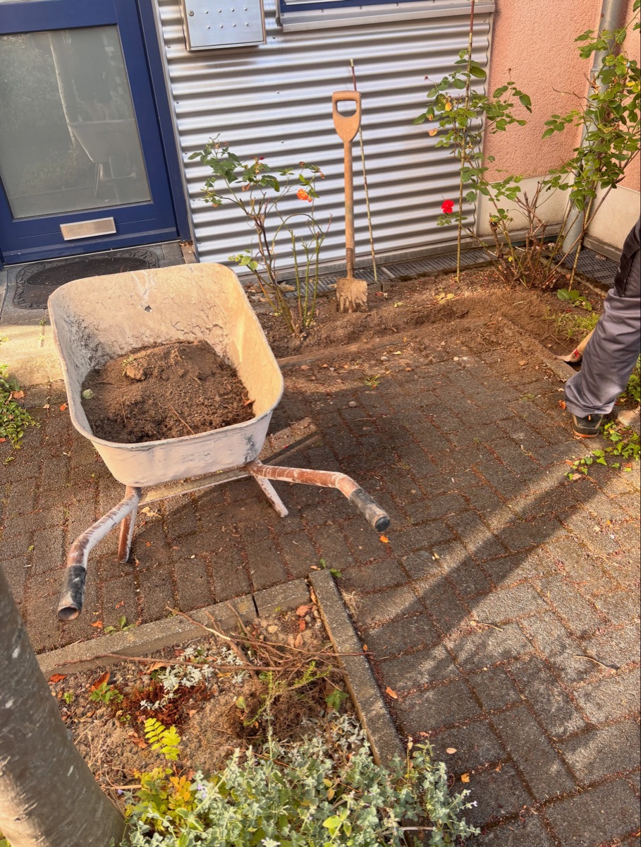 Neu angelegtes Beet mit Schubkarre und Gartenwerkzeug