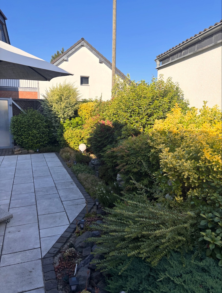 Gepflegter Garten mit zurückgeschnittenen Sträuchern und klaren Formen in Langenfeld